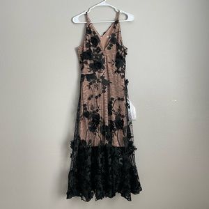 Dress the Population Dress, Size: M, Color: Black and Nude